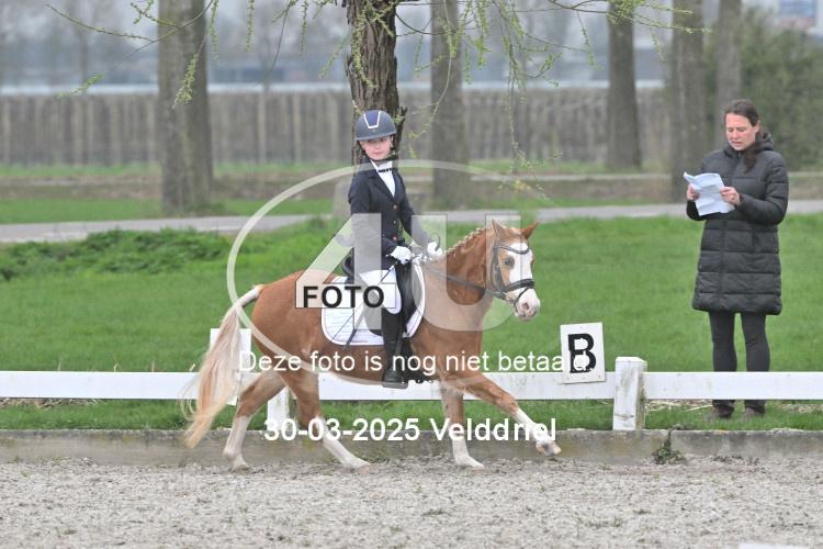 250330 0362