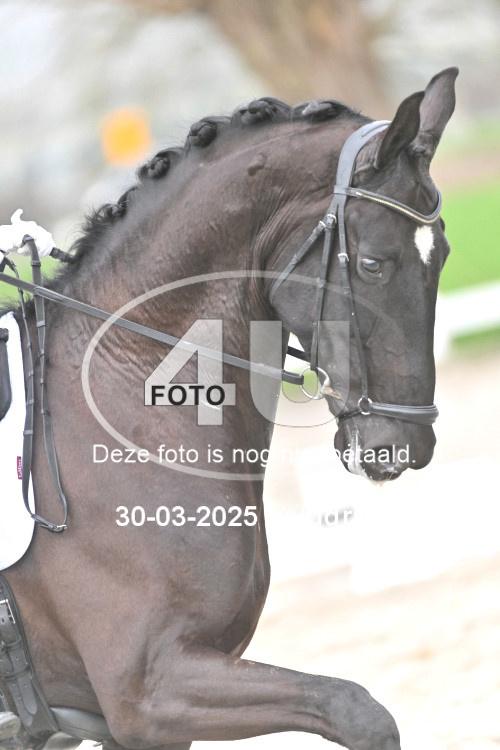 250330 0372