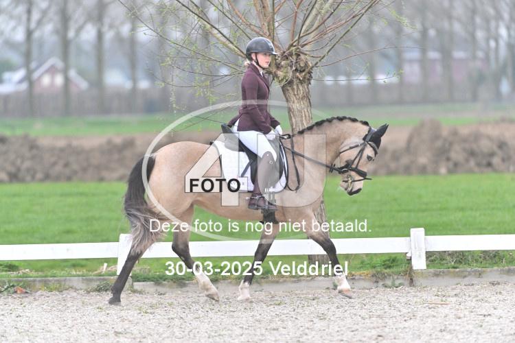 250330 0411