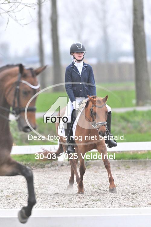 250330 0440