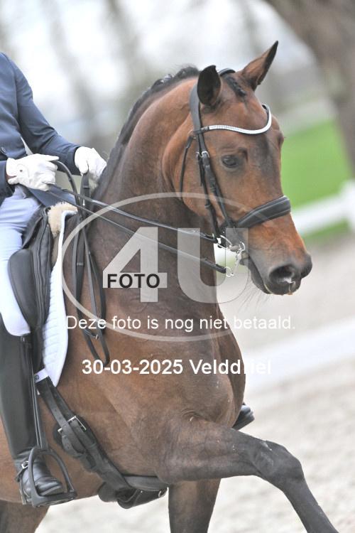 250330 0461