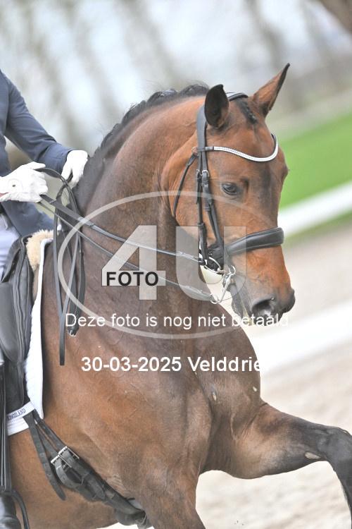 250330 0511
