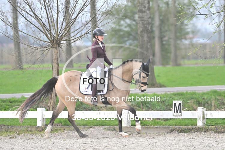 250330 0534