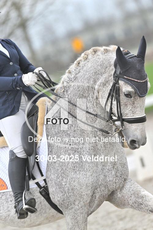 250330 0555