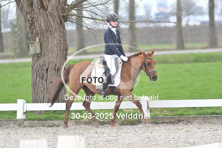 250330 0596