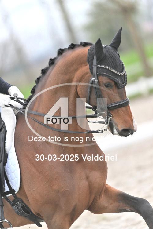 250330 0608