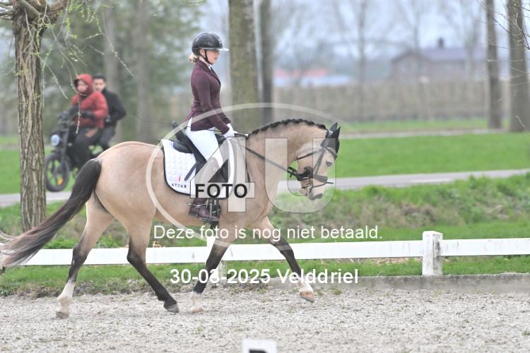 250330 0665