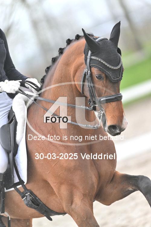 250330 0688