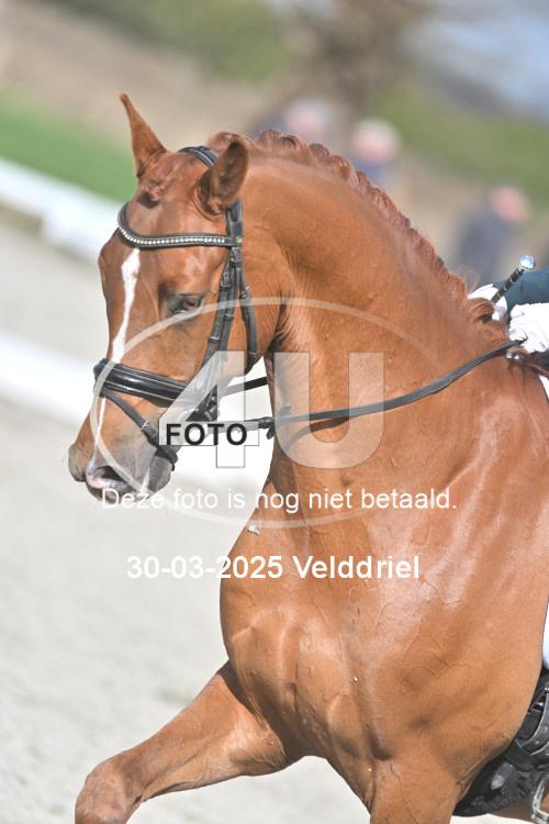 250330 1093