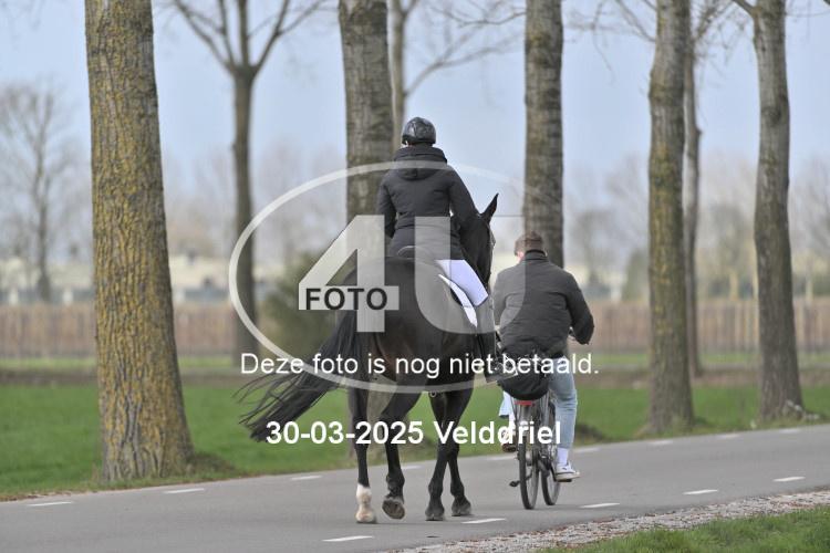 250330 1192