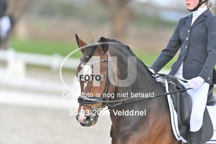 250330 1218