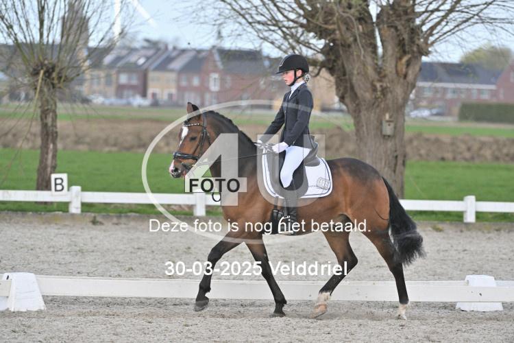 250330 1233