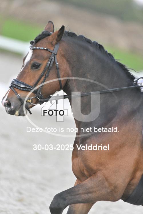 250330 1244