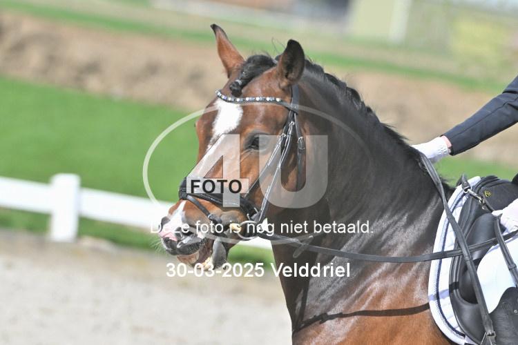 250330 1267