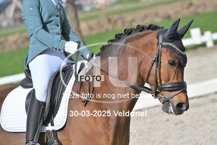 250330 1278