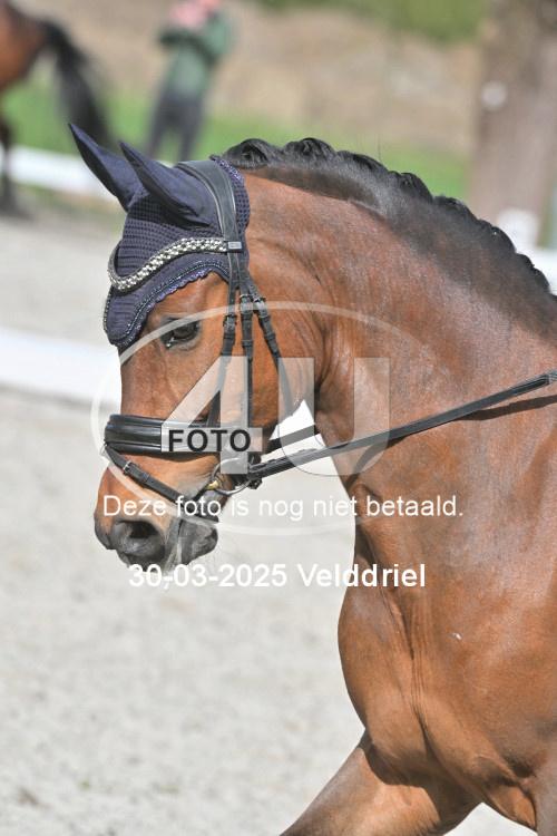 250330 1284