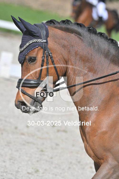 250330 1285