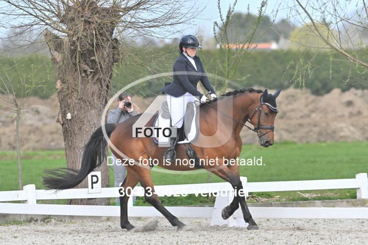 250330 1295