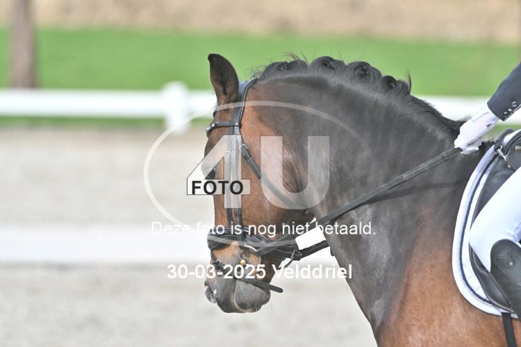 250330 1356