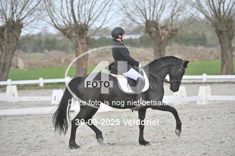 250330 1449