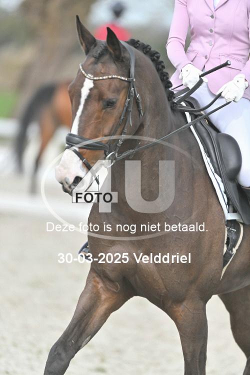 250330 1560