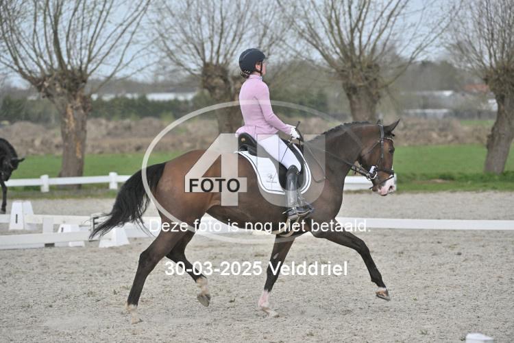 250330 1567