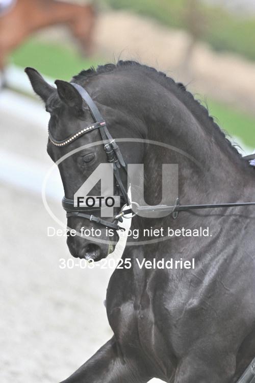 250330 1617