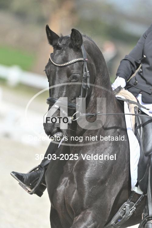 250330 1646