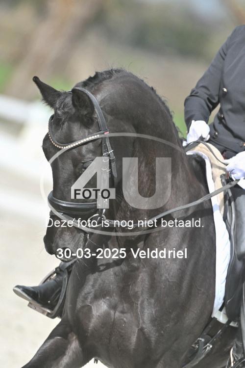 250330 1647