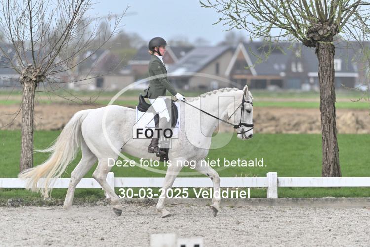 250330 1674