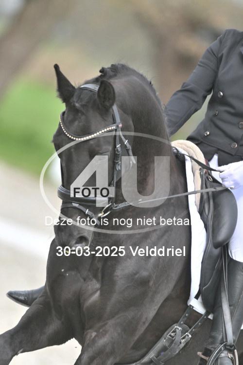 250330 1677