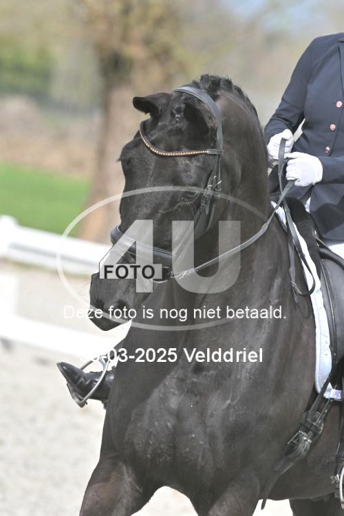250330 1707