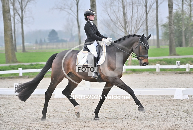 30-03-2025 Velddriel