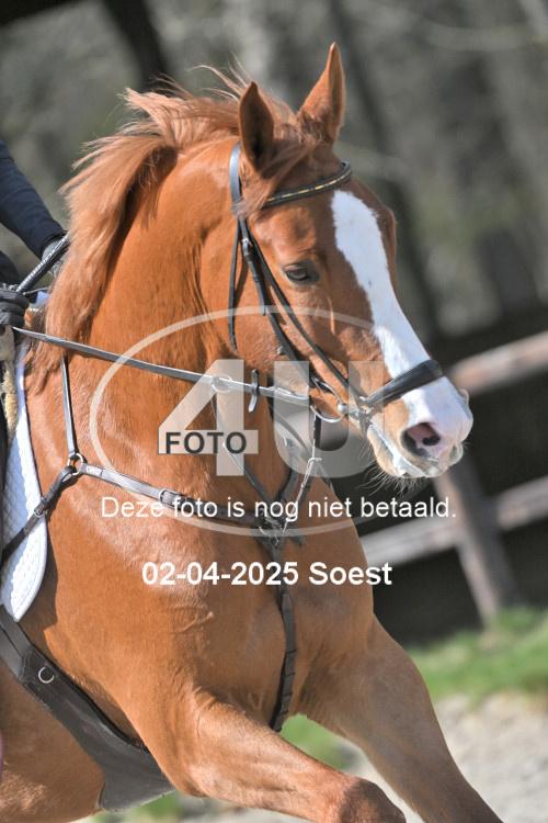 250402 0447