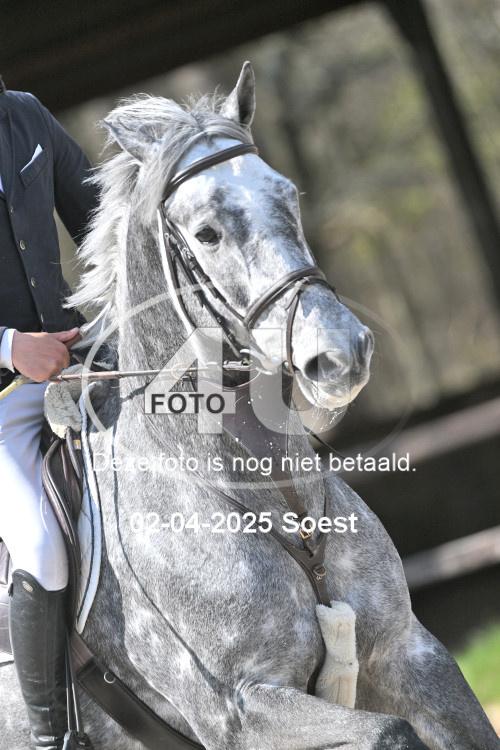 250402 0537