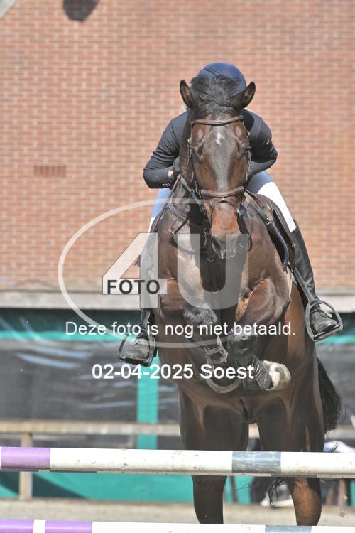 250402 0810