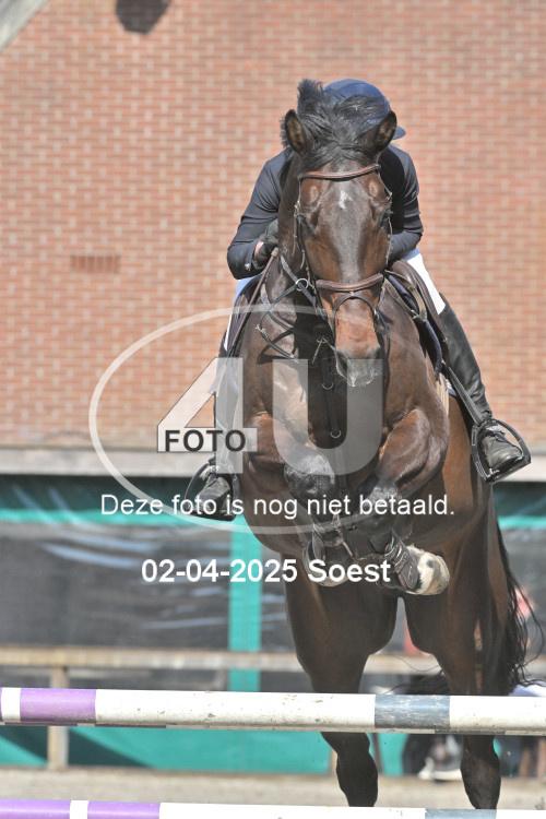 250402 0811