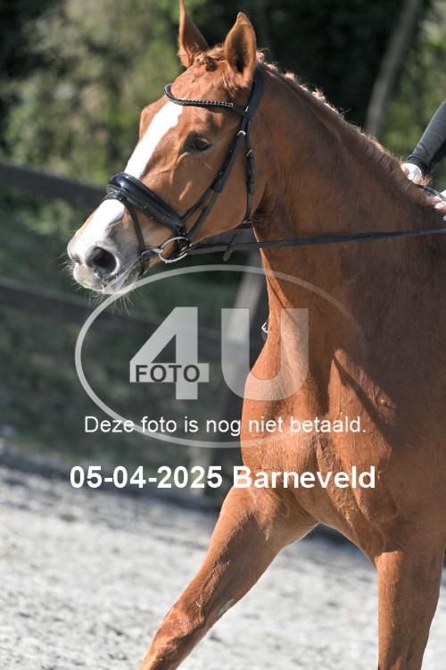 250405 0347