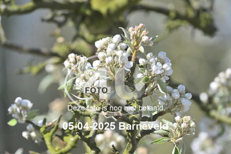 250405 1116