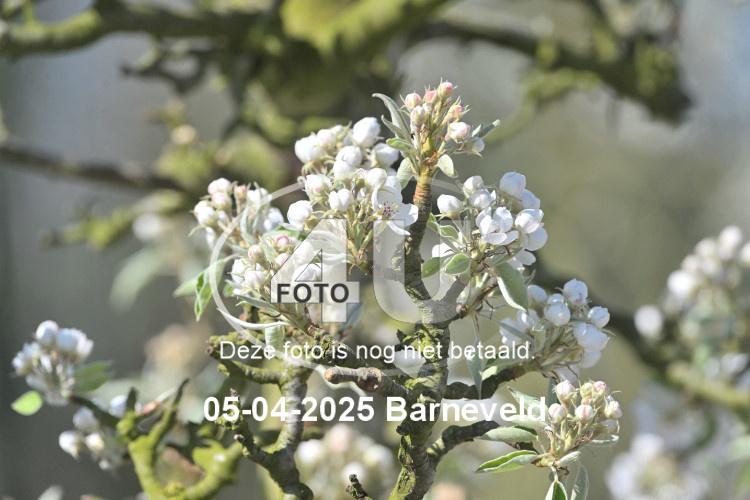 250405 1117
