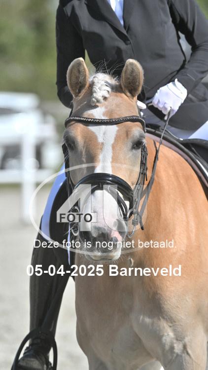250405 4126