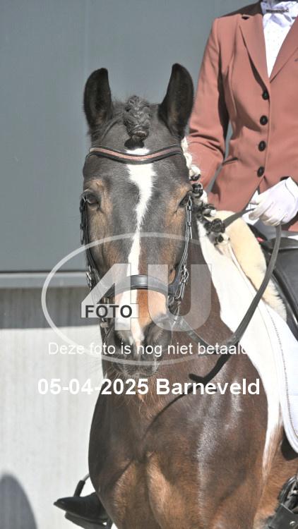 250405 4137