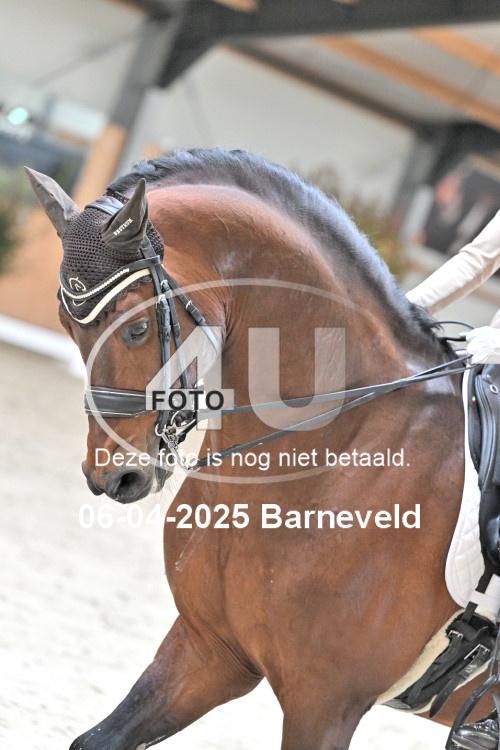 250406 0282