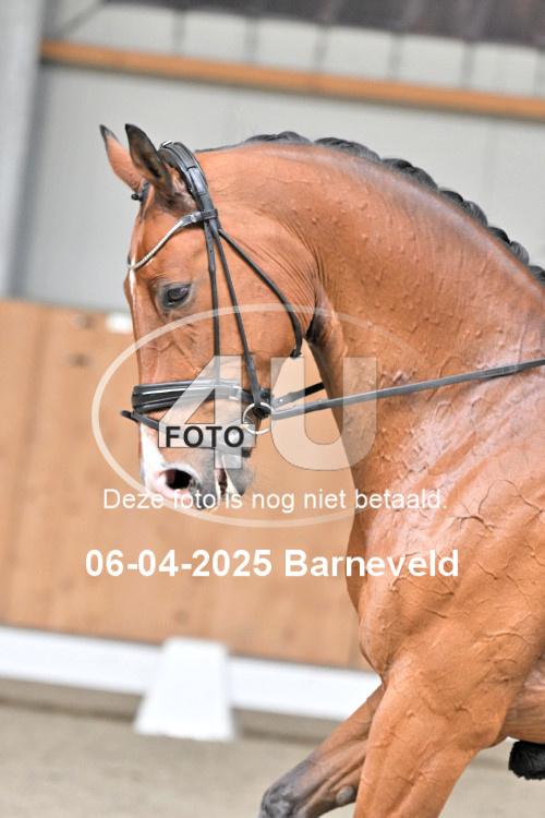 250406 1341
