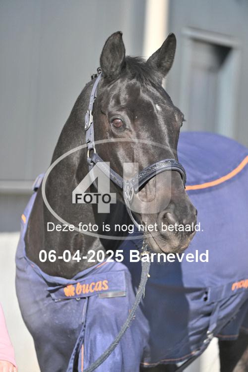 250406 1855