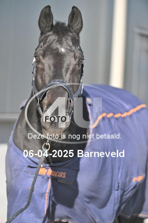 250406 1856