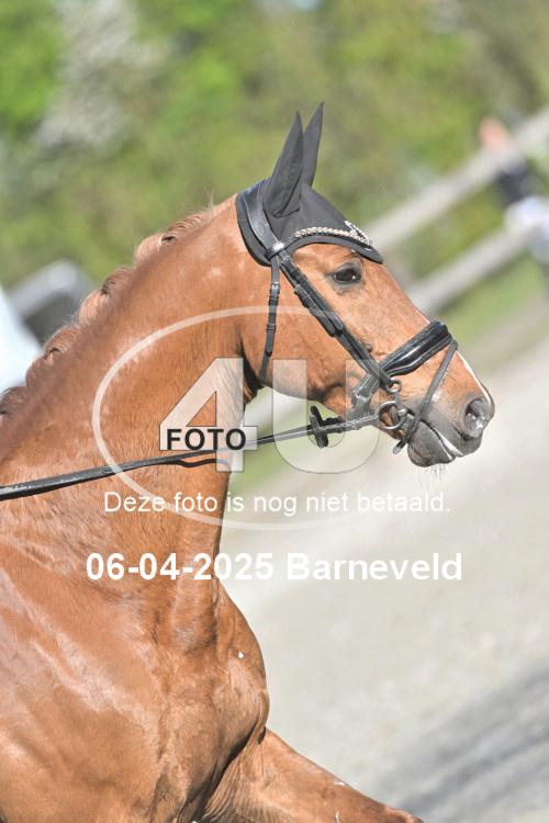 250406 1884