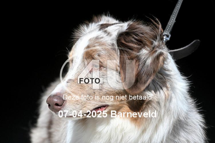 250407 0021