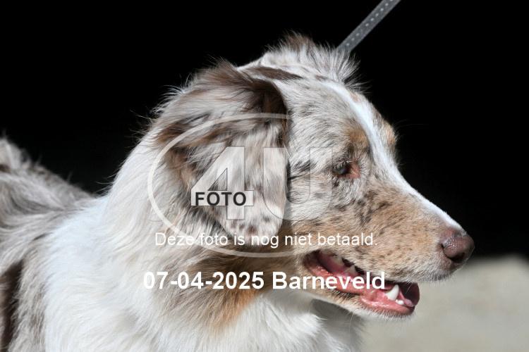 250407 0026