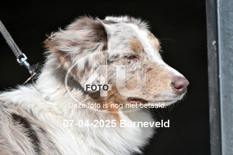250407 0054